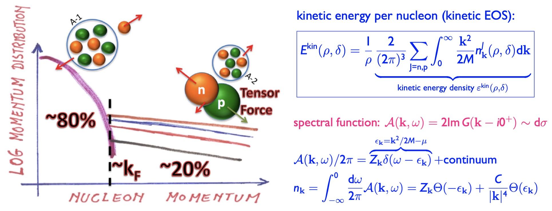 Sketch of nucleon momentum distribution, figure taken from <ins>O.Hen et al., RMP, 89, 045002</ins>